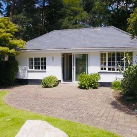 Chadham Pines Cottage Poole Kültér fotó